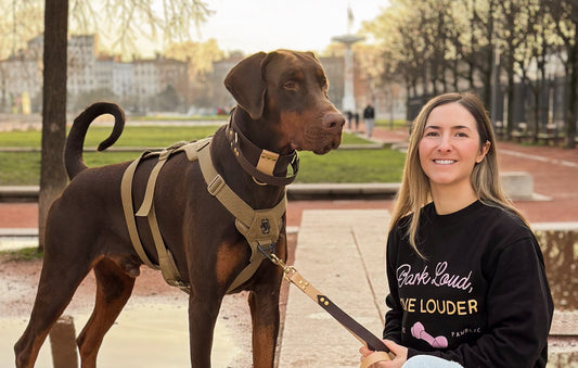 Why I Started a Brand for Dog Parents of Misunderstood Breeds - Pawblic Opinion