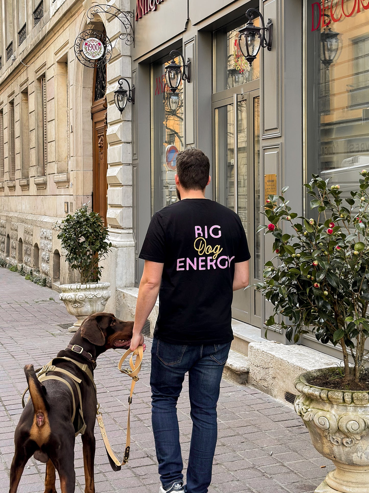 Big Dog Energy Unisex T-Shirt - Pawblic Opinion